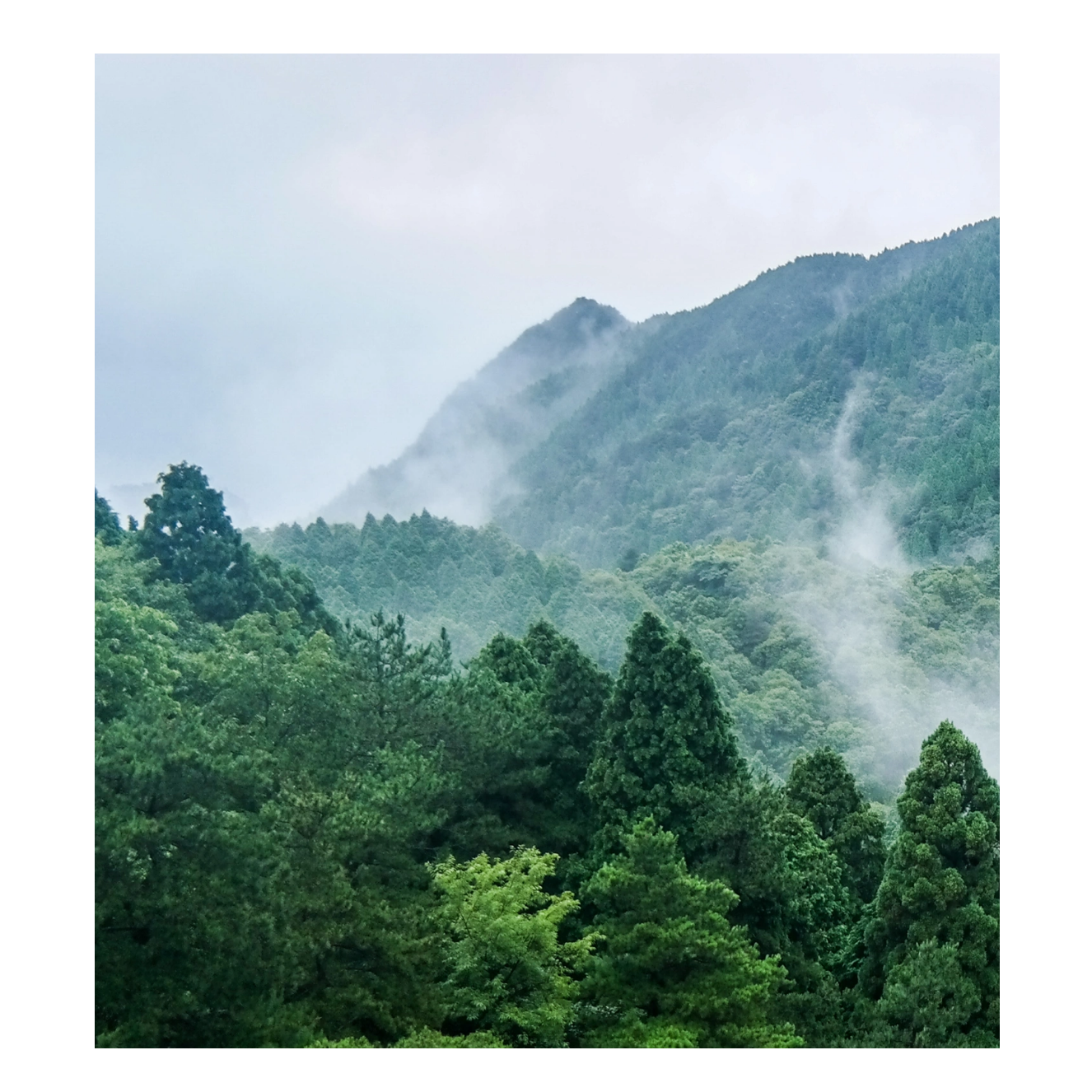 张水春（个人）