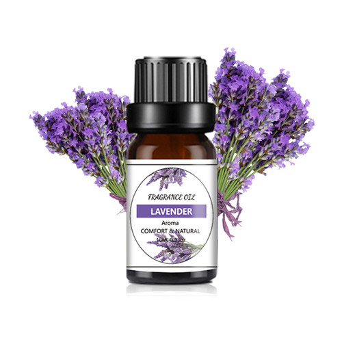 10ML Lavender Plant Essential Oil Aroma Air Diffuser Water Soluble Aromatherapy Fragrance Perfume Freshener10ML-Lavender